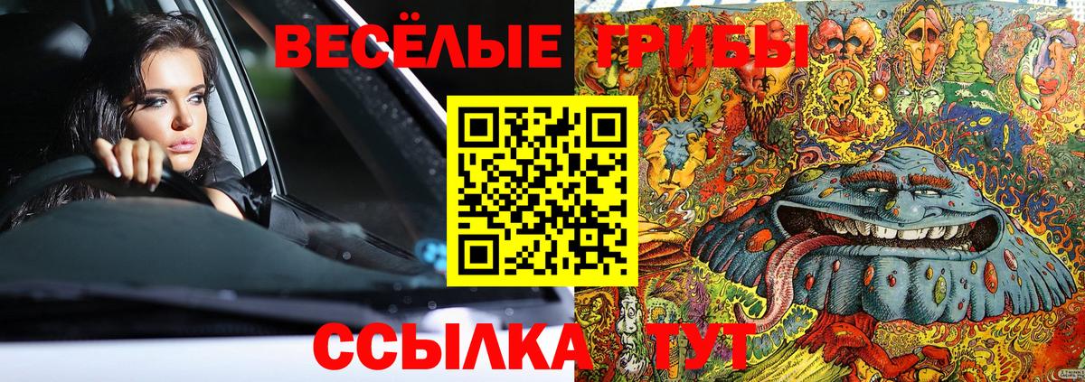 Псилоцибиновые грибы ЛСД  Вход с VPN  Тулун 