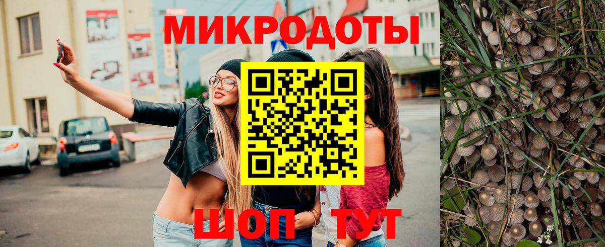 Галлюциногенные грибы Cubensis Тулун